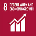 SDG 8