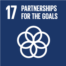 SDG 17