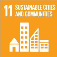 SDG 11