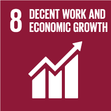 SDG 8