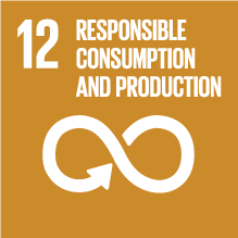 SDG 12